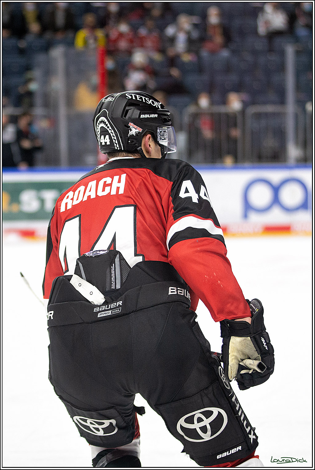 PENNY DEL; Koelner Haie- Nuernberg Ice Tigers; Koeln, 03.12.2021